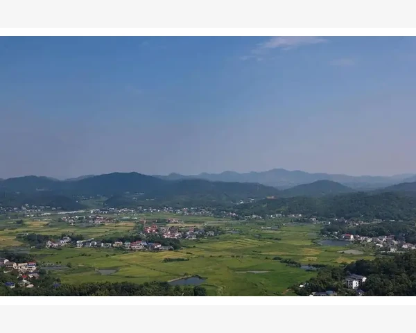 中医治疗失眠的有效方法与建议